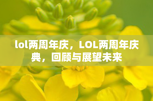 lol两周年庆，LOL两周年庆典，回顾与展望未来
