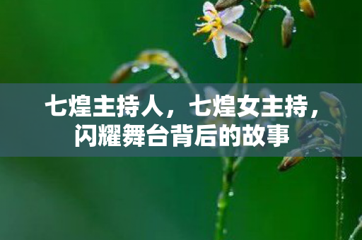 七煌主持人，七煌女主持，闪耀舞台背后的故事