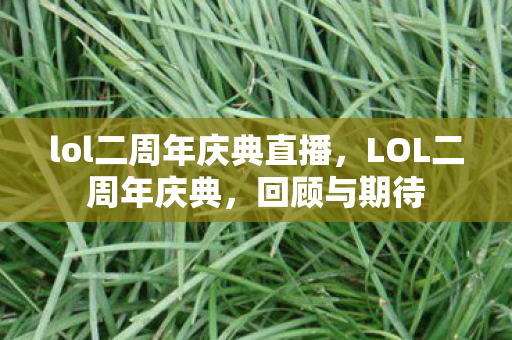 lol二周年庆典直播，LOL二周年庆典，回顾与期待