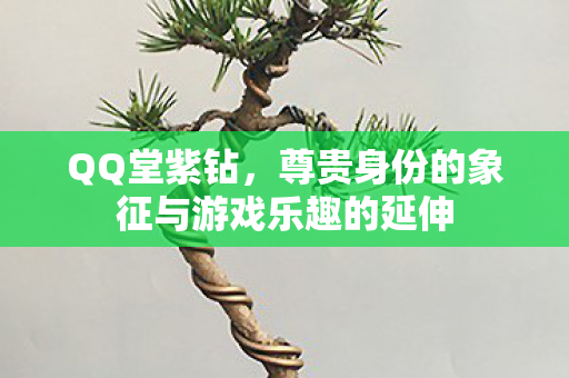 QQ堂紫钻，尊贵身份的象征与游戏乐趣的延伸