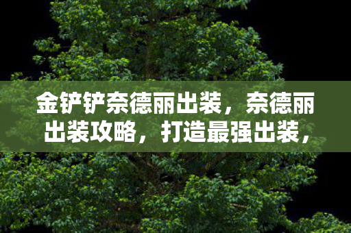 金铲铲奈德丽出装，奈德丽出装攻略，打造最强出装，轻松上分！