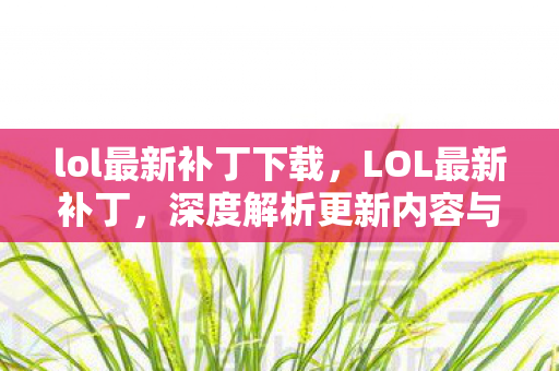 lol最新补丁下载，LOL最新补丁，深度解析更新内容与影响