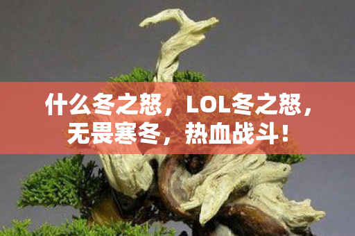 什么冬之怒，LOL冬之怒，无畏寒冬，热血战斗！