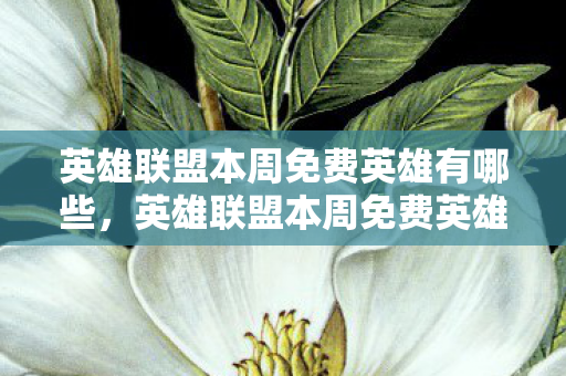 英雄联盟本周免费英雄有哪些，英雄联盟本周免费英雄，探索召唤师峡谷的新力量