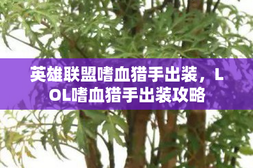 英雄联盟嗜血猎手出装，LOL嗜血猎手出装攻略