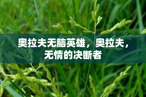 奥拉夫无脑英雄，奥拉夫，无情的决断者