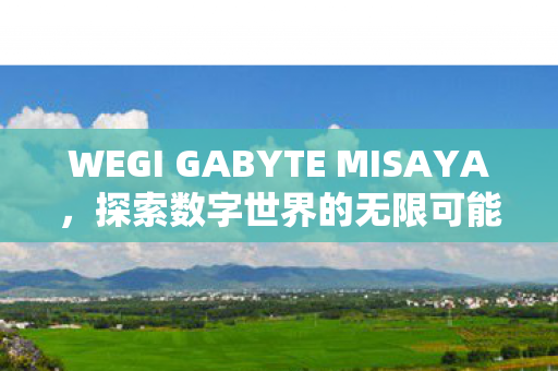 WEGI GABYTE MISAYA，探索数字世界的无限可能