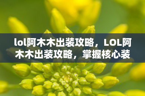 lol阿木木出装攻略，LOL阿木木出装攻略，掌握核心装备，成为不败之木