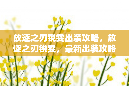 放逐之刃锐雯出装攻略，放逐之刃锐雯，最新出装攻略与实战解析
