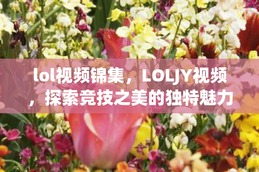 lol视频锦集，LOLJY视频，探索竞技之美的独特魅力