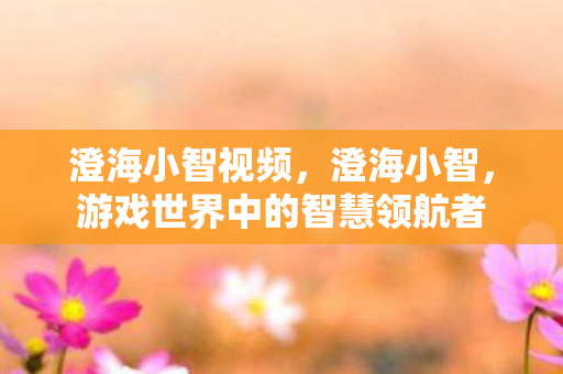 澄海小智视频，澄海小智，游戏世界中的智慧领航者