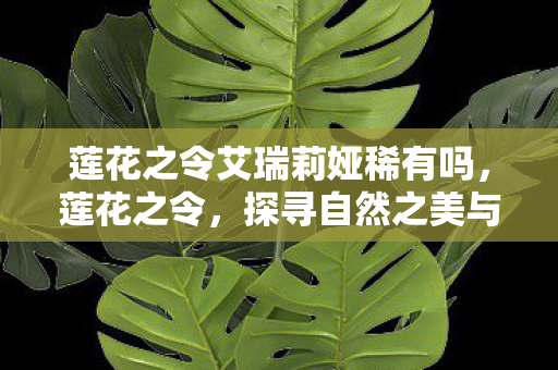 莲花之令艾瑞莉娅稀有吗，莲花之令，探寻自然之美与文化的交融