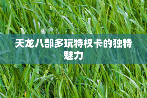 天龙八部多玩特权卡的独特魅力