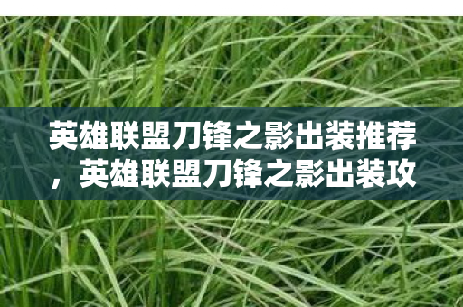 英雄联盟刀锋之影出装推荐，英雄联盟刀锋之影出装攻略