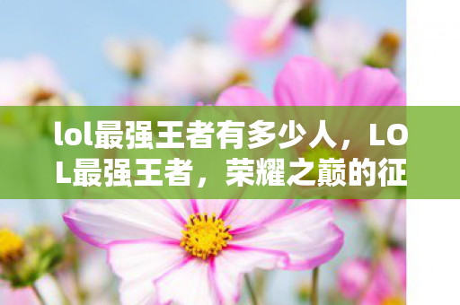 lol最强王者有多少人，LOL最强王者，荣耀之巅的征途