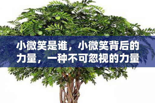 小微笑是谁，小微笑背后的力量，一种不可忽视的力量