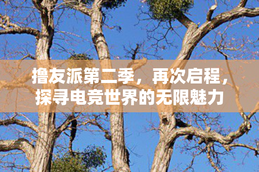 撸友派第二季，再次启程，探寻电竞世界的无限魅力