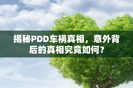揭秘PDD车祸真相，意外背后的真相究竟如何？