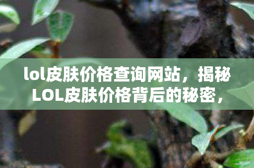 lol皮肤价格查询网站，揭秘LOL皮肤价格背后的秘密，如何轻松查询皮肤价格？