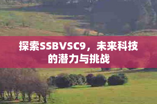 探索SSBVSC9，未来科技的潜力与挑战