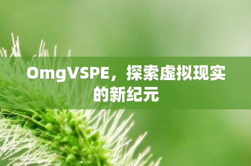 OmgVSPE，探索虚拟现实的新纪元