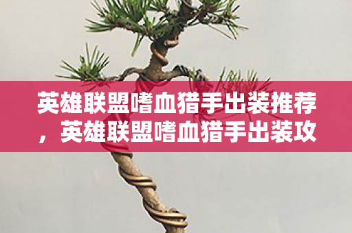 英雄联盟嗜血猎手出装推荐，英雄联盟嗜血猎手出装攻略