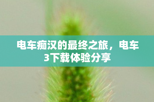 电车痴汉的最终之旅，电车3下载体验分享