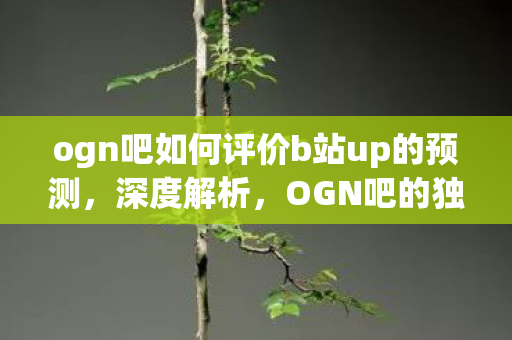 ogn吧如何评价b站up的预测，深度解析，OGN吧的独特魅力与未来发展