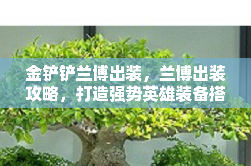 金铲铲兰博出装，兰博出装攻略，打造强势英雄装备搭配