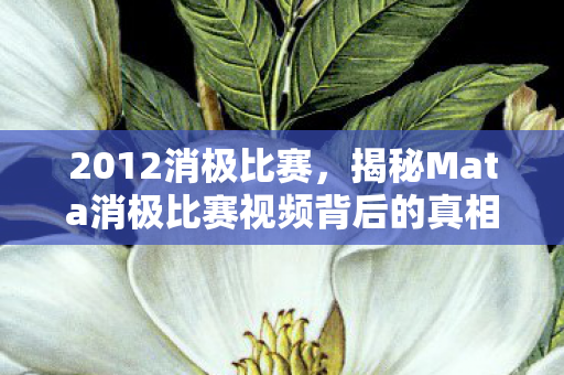 2012消极比赛，揭秘Mata消极比赛视频背后的真相
