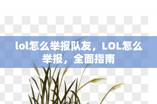 lol怎么举报队友，LOL怎么举报，全面指南