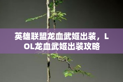英雄联盟龙血武姬出装，LOL龙血武姬出装攻略