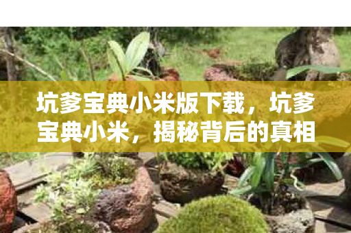 坑爹宝典小米版下载，坑爹宝典小米，揭秘背后的真相与挑战