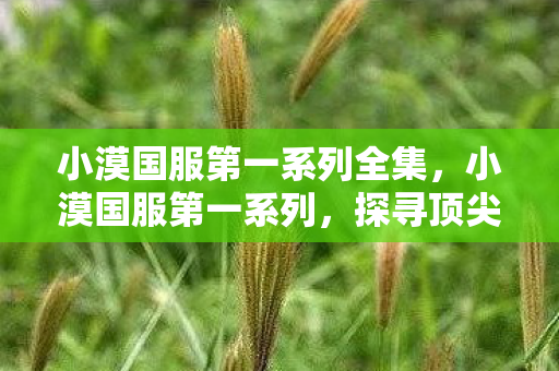 小漠国服第一系列全集，小漠国服第一系列，探寻顶尖玩家的奥秘