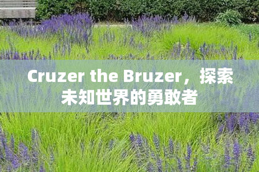 Cruzer the Bruzer，探索未知世界的勇敢者
