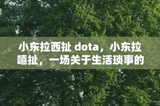 小东拉西扯 dota，小东拉嘻扯，一场关于生活琐事的心灵之旅
