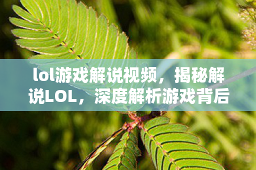 lol游戏解说视频，揭秘解说LOL，深度解析游戏背后的故事与战术策略