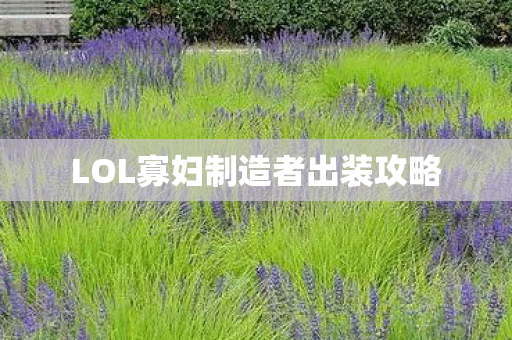 LOL寡妇制造者出装攻略