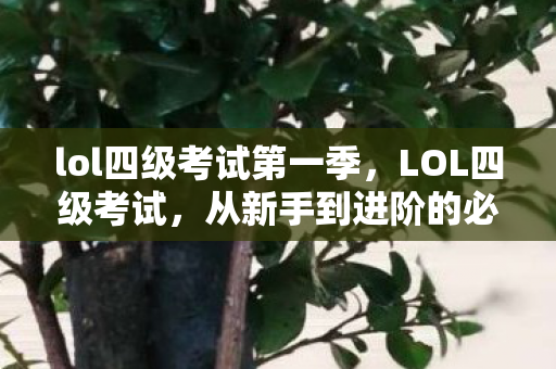 lol四级考试第一季，LOL四级考试，从新手到进阶的必经之路