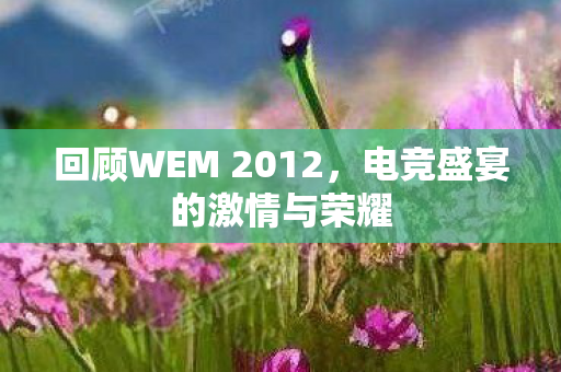 回顾WEM 2012，电竞盛宴的激情与荣耀