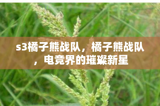 s3橘子熊战队，橘子熊战队，电竞界的璀璨新星