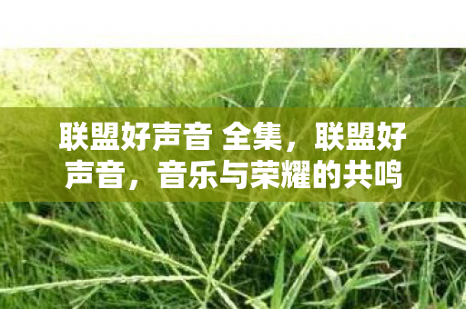 联盟好声音 全集，联盟好声音，音乐与荣耀的共鸣