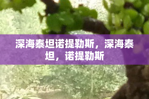 深海泰坦诺提勒斯，深海泰坦，诺提勒斯