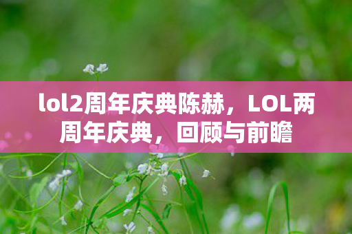 lol2周年庆典陈赫，LOL两周年庆典，回顾与前瞻