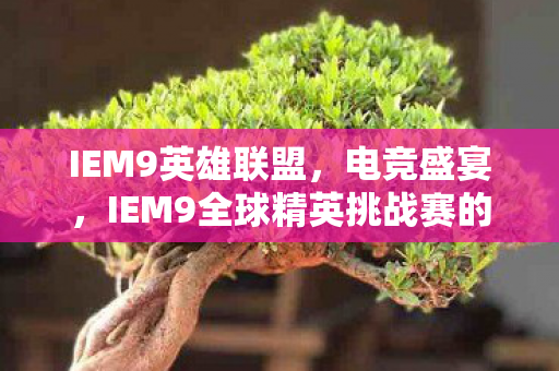 IEM9英雄联盟，电竞盛宴，IEM9全球精英挑战赛的全面解析与回顾