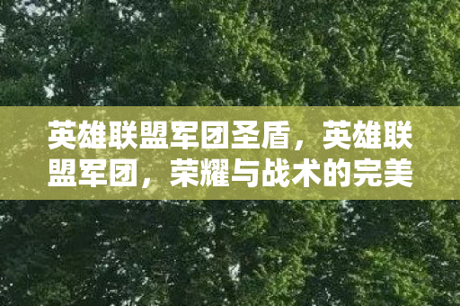 英雄联盟军团圣盾，英雄联盟军团，荣耀与战术的完美结合