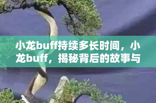 小龙buff持续多长时间，小龙buff，揭秘背后的故事与深层含义