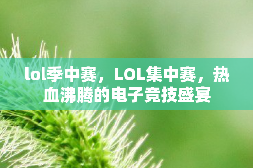 lol季中赛，LOL集中赛，热血沸腾的电子竞技盛宴