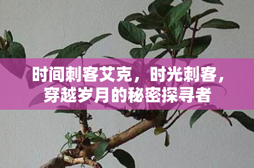 时间刺客艾克，时光刺客，穿越岁月的秘密探寻者