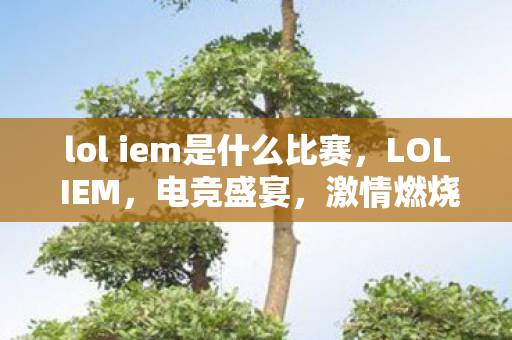 lol iem是什么比赛，LOL IEM，电竞盛宴，激情燃烧的舞台